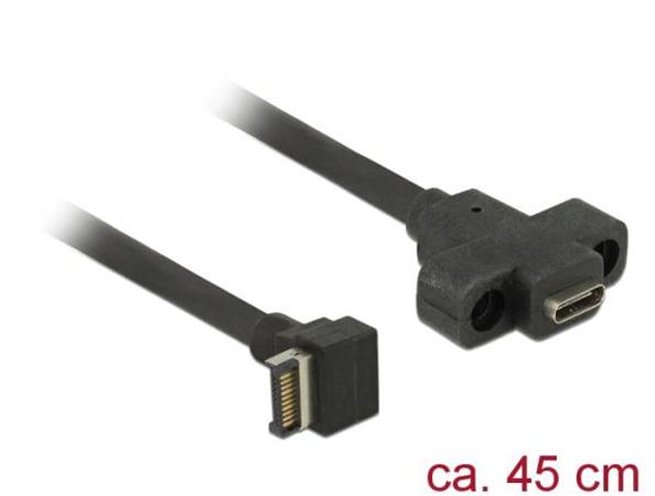 Delock Kabel USB 3.1 Gen 2 key A 20 pin samec > USB 3.1 Gen 2 USB Type-C™ samice montáž na panel 45