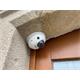 Hikvision IP mini dome camera DS-2CD2523G2-I(2.8mm), 2MP, 2.8mm, Microphone, AcuSense