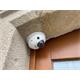 Hikvision IP mini dome camera DS-2CD2543G0-IWS/4, 4MP, 4mm, Audio, WiFi