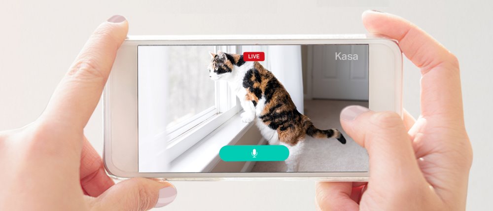 TP-LINK KC100 - Kasa camera