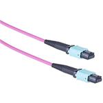 Masterlan fiber optic MPO patch cord, MPOupc/MPOupc, female, MM, OM4, 12 fibers, Type B, 1m