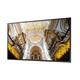 SAMSUNG LFD LH65QMNEBGC/EN (QM65N) 65"/500nits/24/7