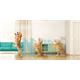 TP-Link KC110 - Full HD WiFi Pan-Tilt Smart Home Camera