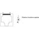 Video balun for the transmission of video signals on twisted pair and power over twisted pair (UTP, FTP).